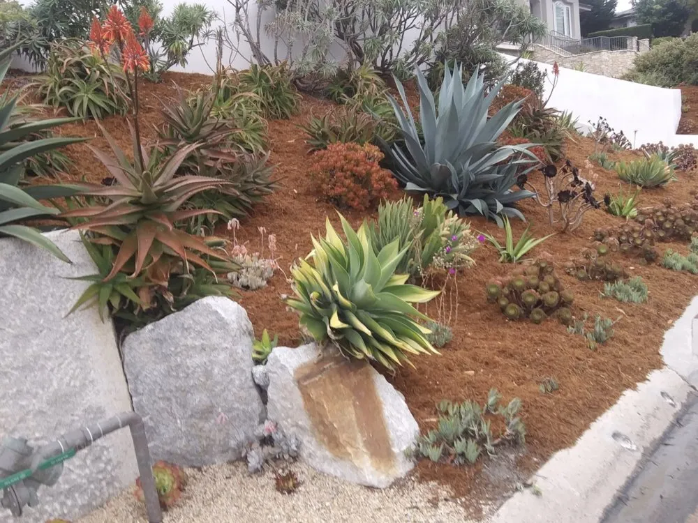 Affordable garden landscaping experts serving Seaside, CA - Espinal Landscaping Services