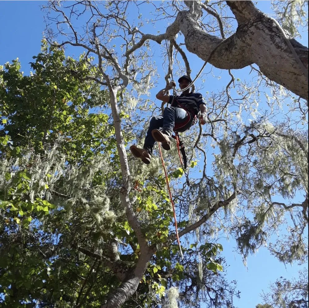 Professional residential landscaping experts serving Seaside, CA - Espinal Landscaping Services