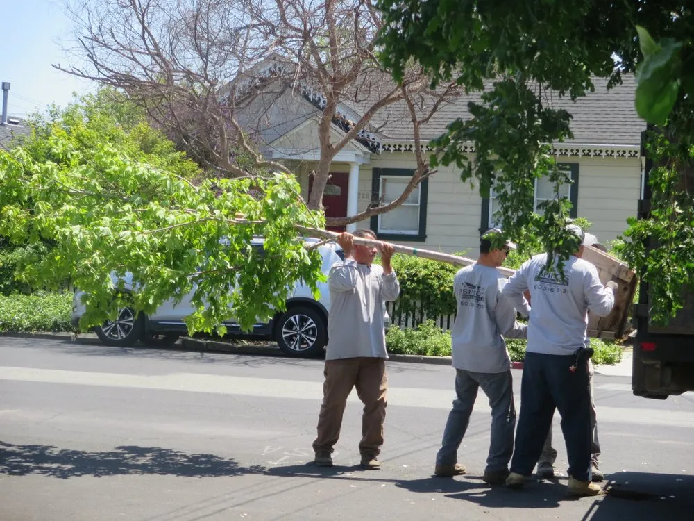 Custom lawn mowing service experts serving Redwood City, CA - Espino's Landscaping & Maintenance