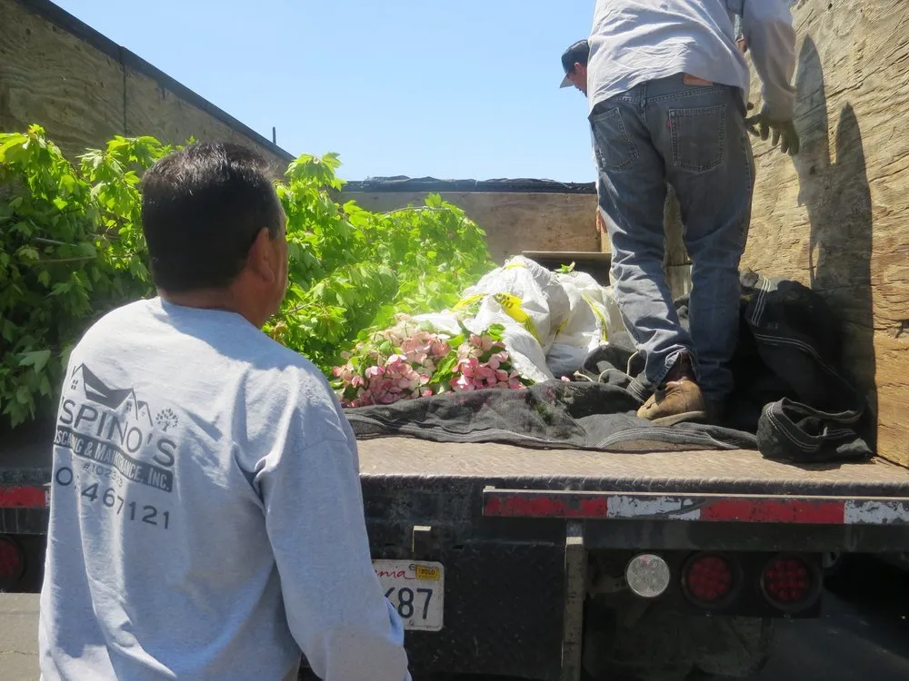 Professional yard maintenance experts serving Redwood City, CA - Espino's Landscaping & Maintenance