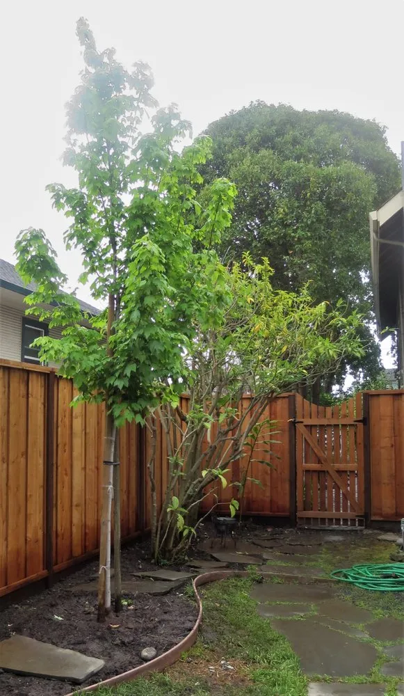 Professional lawn mowing service for residential properties in Redwood City, CA by Espino's Landscaping & Maintenance