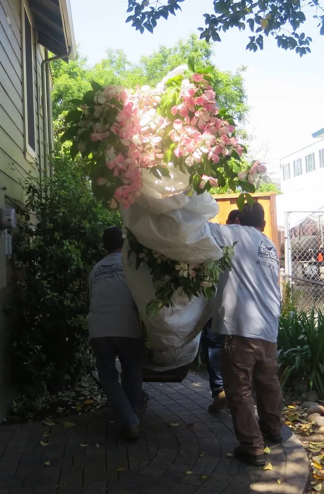 Local residential landscaping experts serving Redwood City, CA - Espino's Landscaping & Maintenance