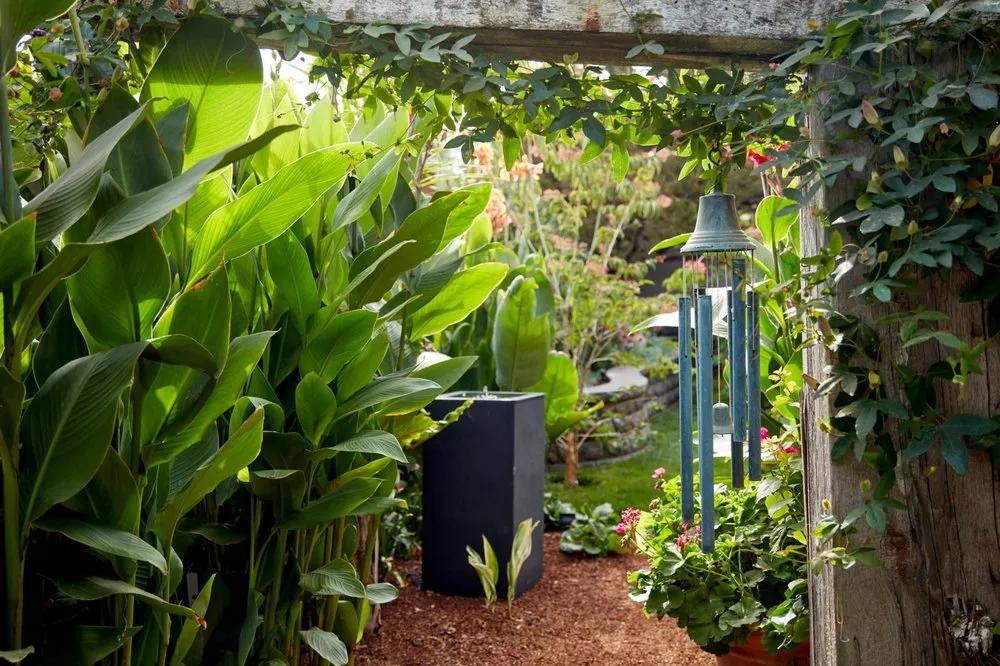 Professional yard maintenance in Redwood City, CA - Espino's Landscaping & Maintenance