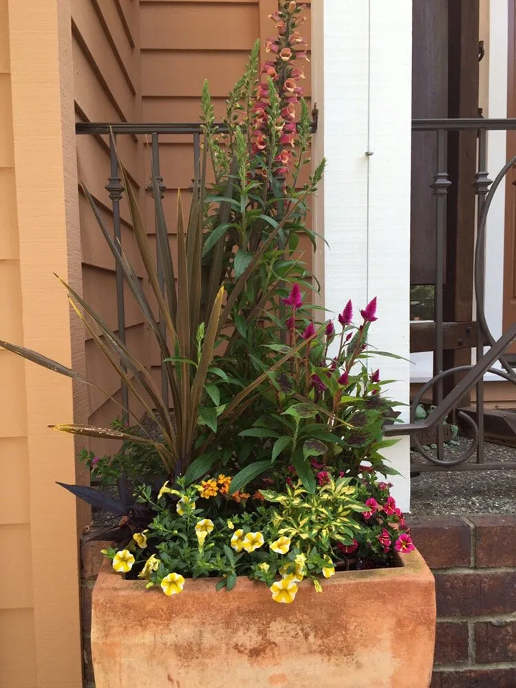 Trusted residential landscaping for beautiful yards across Redwood City, CA - Espino's Landscaping & Maintenance