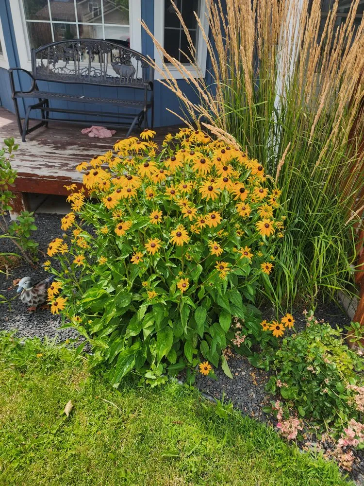 Affordable landscaping services in Spokane Valley, WA - Espinosa Yard Services and Snow Removal