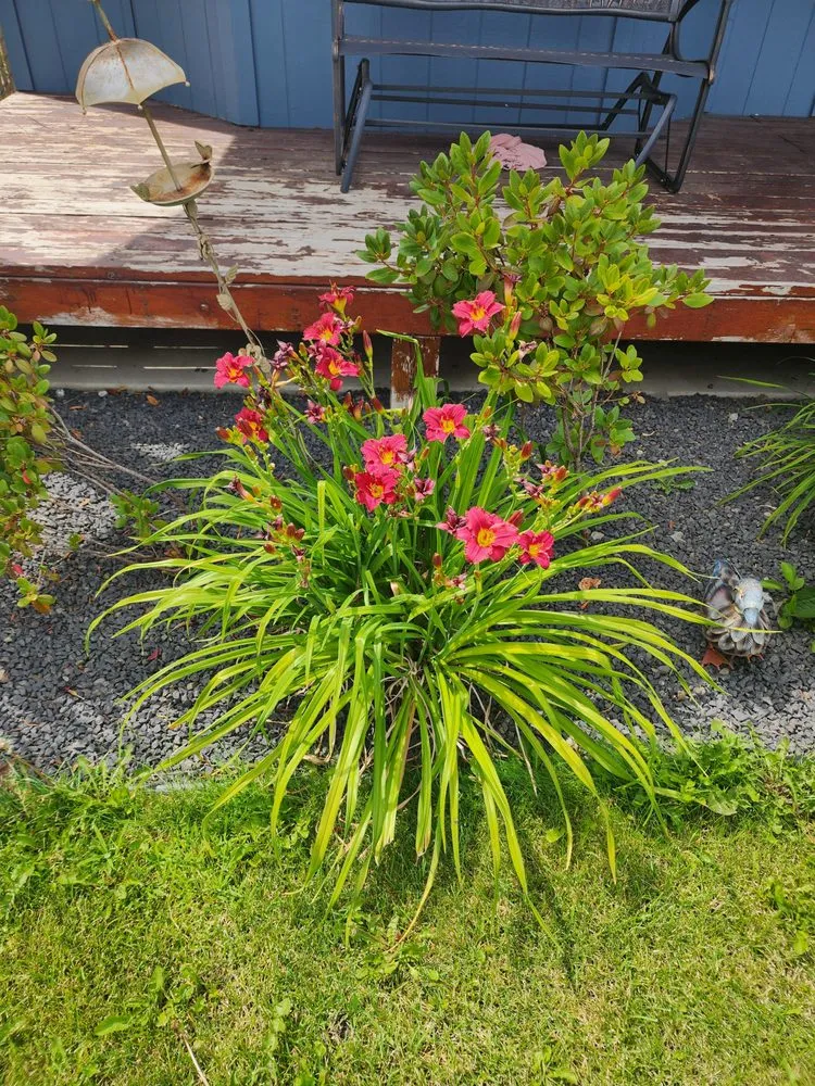 Top-rated landscape installation experts serving Spokane Valley, WA - Espinosa Yard Services and Snow Removal