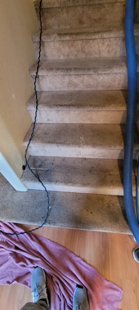 Top-rated yard cleanup service in Lompoc, CA by Espinosa's Cleaning