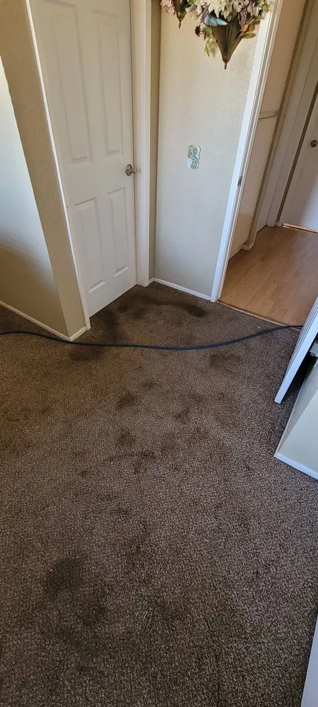 Affordable landscaping services in Lompoc, CA by Espinosa's Cleaning