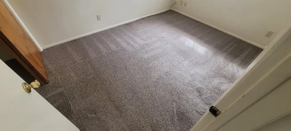 Top-rated lawn care service experts serving Lompoc, CA - Espinosa's Cleaning