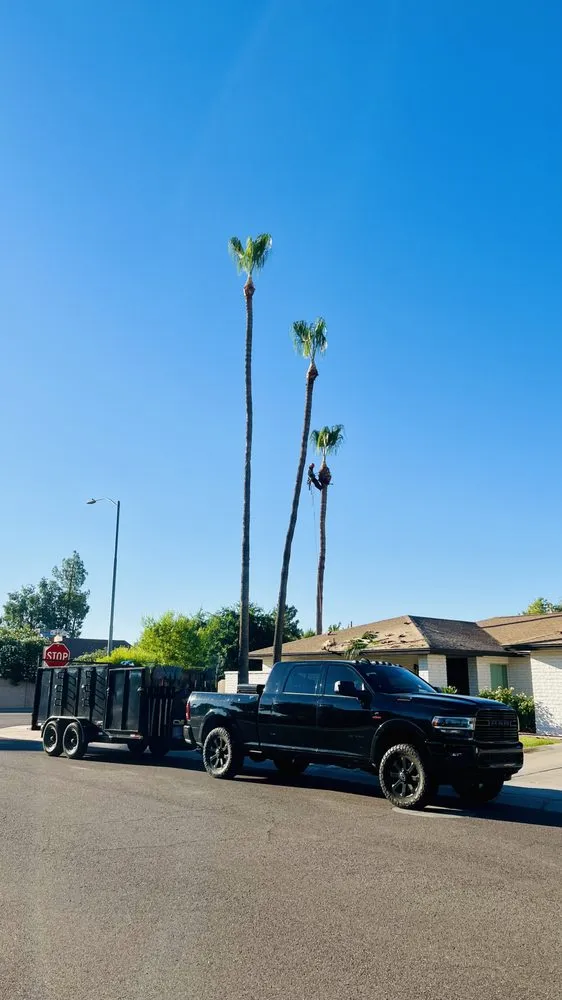 Custom lawn mowing service in Phoenix, AZ by Espinosas Irrigation Landscaping