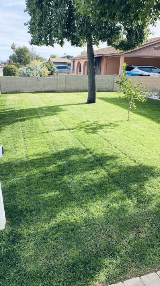 Top-rated garden landscaping experts serving Phoenix, AZ - Espinosas Irrigation Landscaping