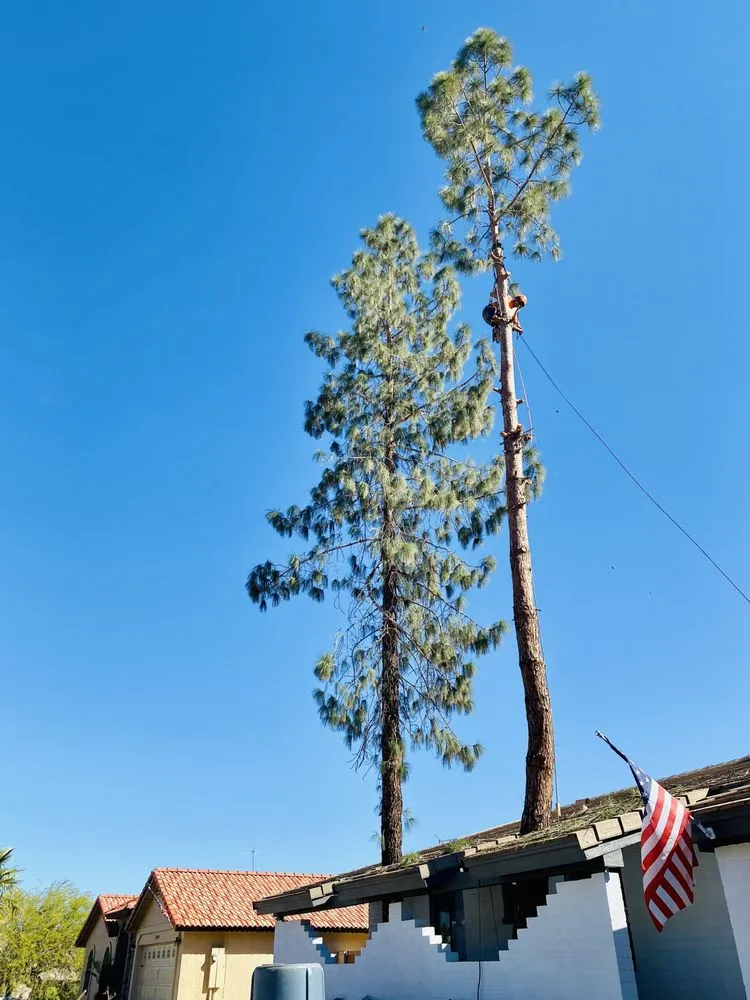 Affordable outdoor landscaping experts serving Phoenix, AZ - Espinosas Irrigation Landscaping