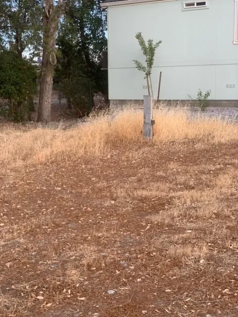 Affordable landscaping services in Red Bluff, CA - Espinoza Gardening Service