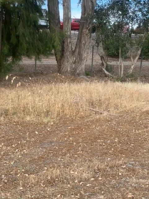 Professional lawn mowing service near you in Red Bluff, CA by Espinoza Gardening Service