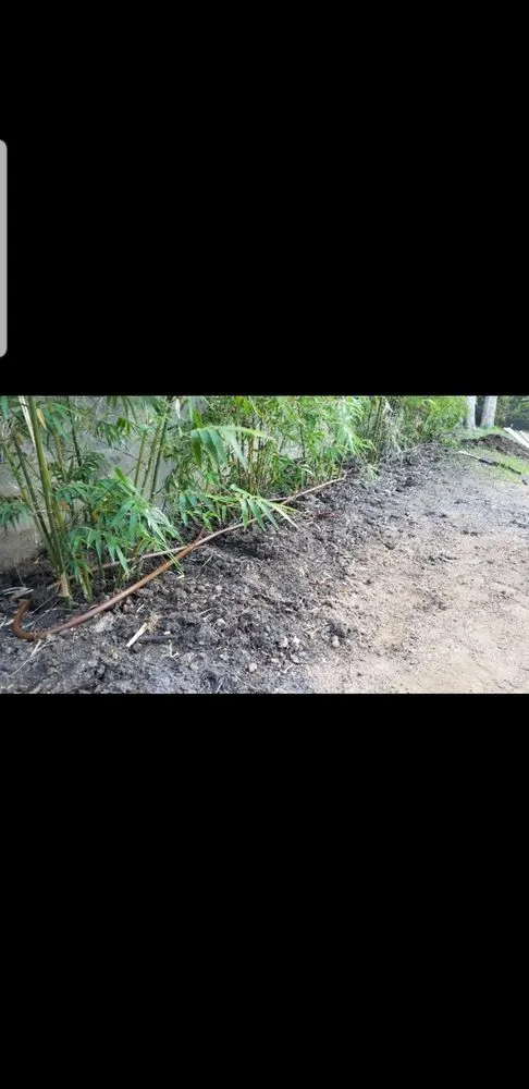 Reliable landscaping services for year-round maintenance across Pflugerville, TX - Espinoza Irrigation Services