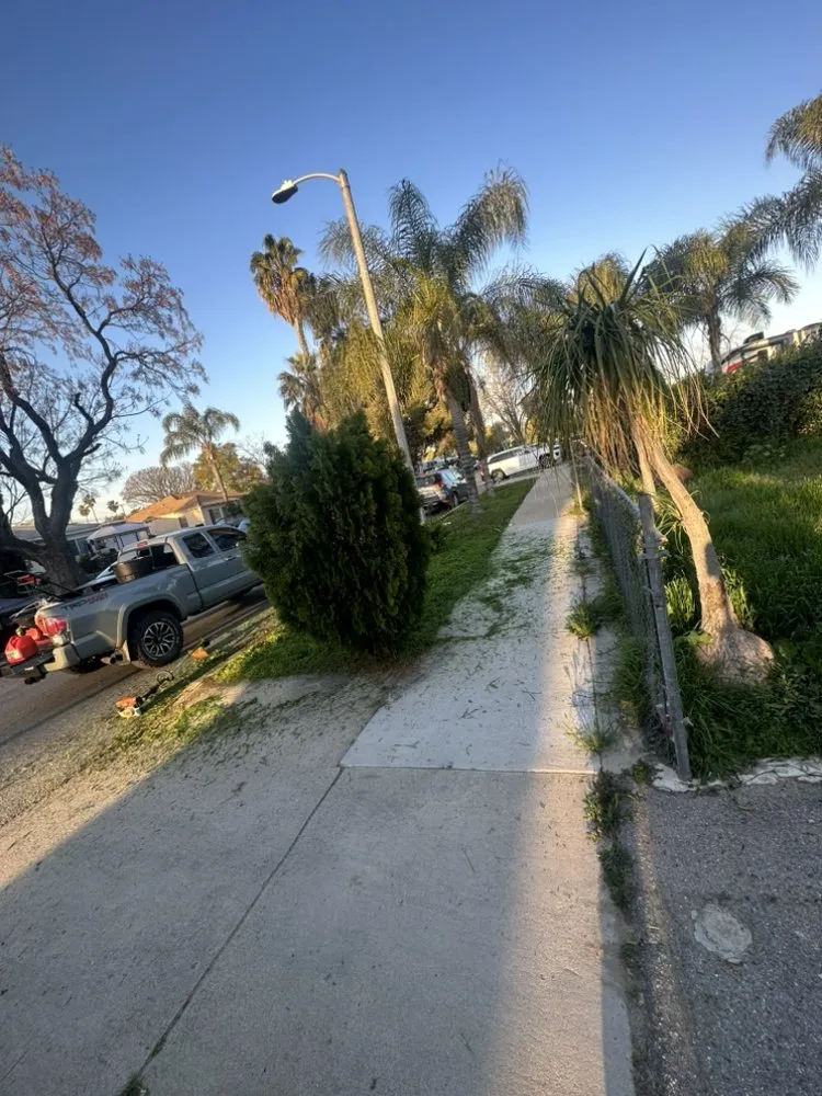 Custom residential landscaping in Muscoy, CA by Espinoza Landscape Services