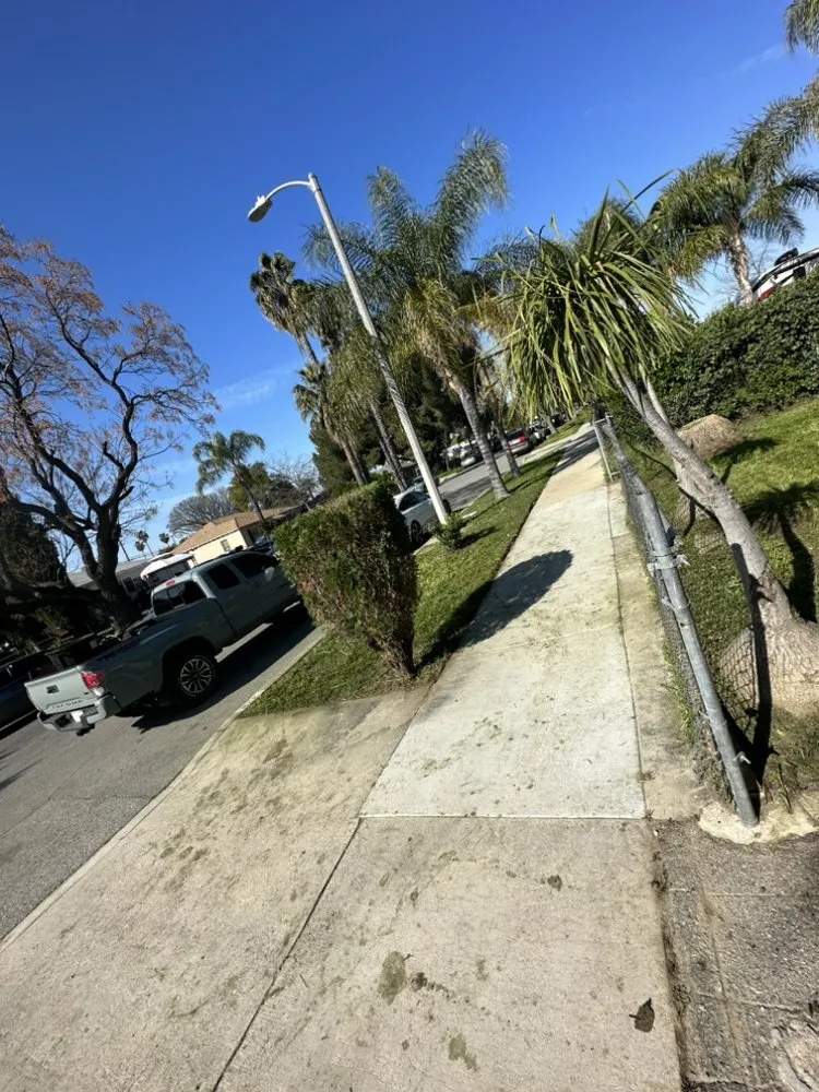 Professional yard maintenance in Muscoy, CA - Espinoza Landscape Services