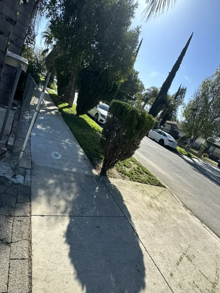 Affordable lawn mowing service experts serving Muscoy, CA - Espinoza Landscape Services