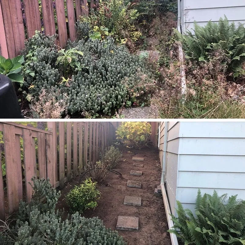 Affordable landscape design in Muscoy, CA by Espinoza Landscape Services