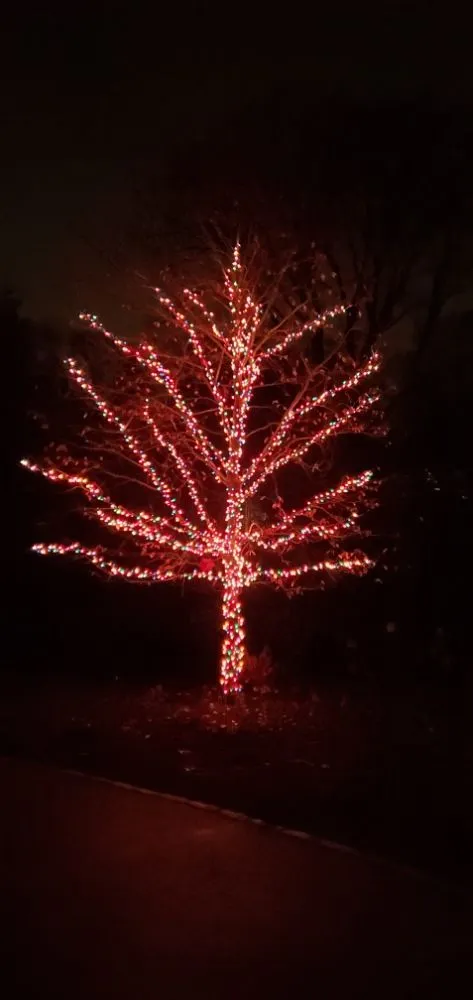 Affordable yard maintenance in Clinton, MA by Espinoza Landscaping