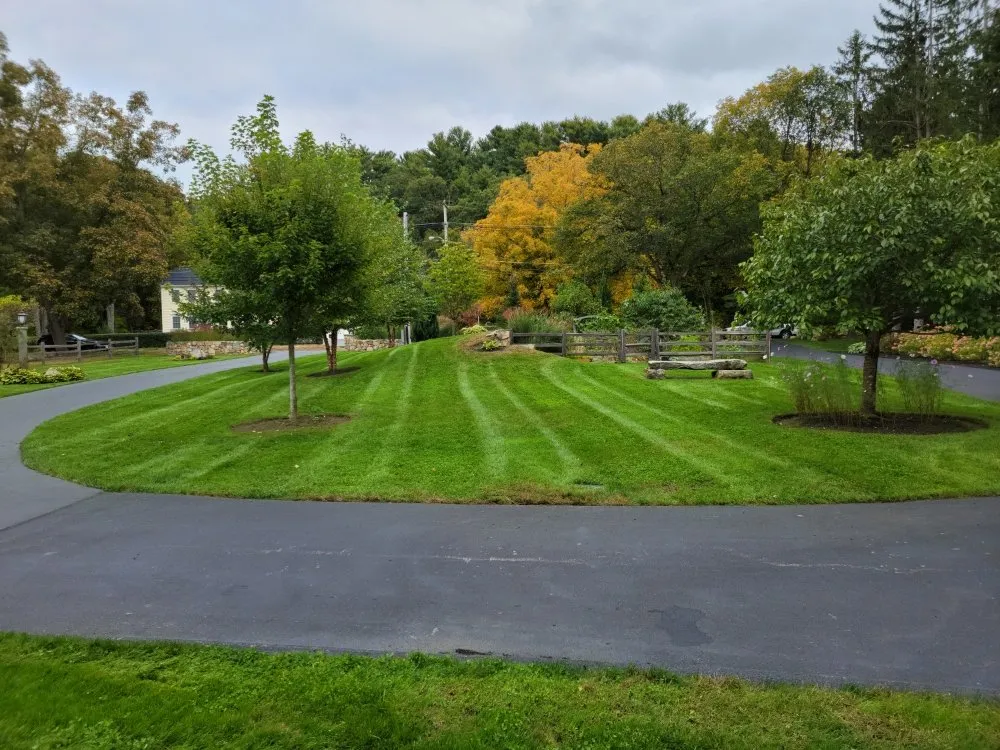 Trusted yard cleanup service in Clinton, MA - Espinoza Landscaping