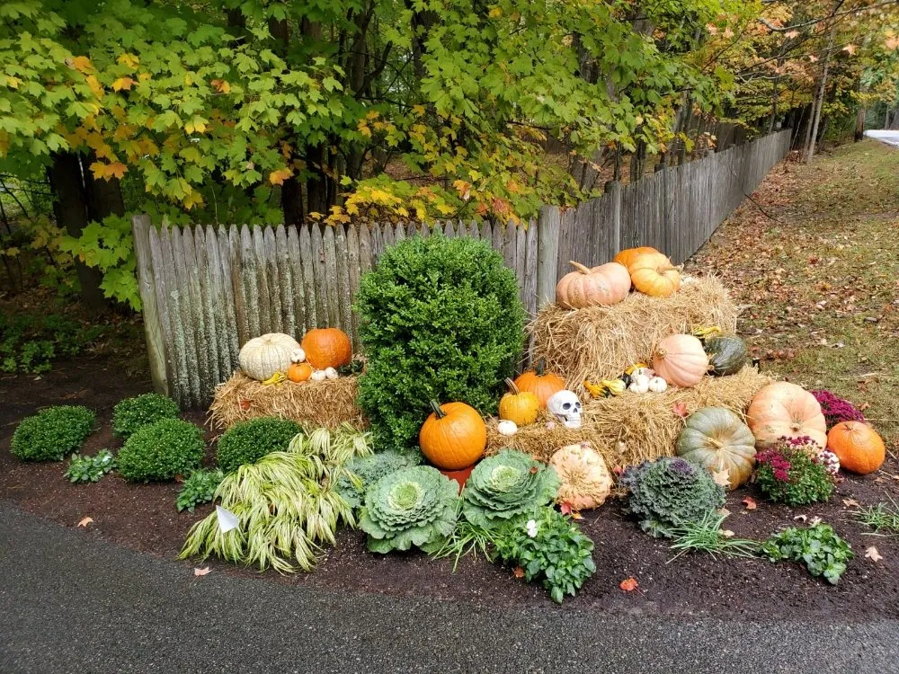 Reliable yard cleanup service for beautiful yards in Clinton, MA by Espinoza Landscaping