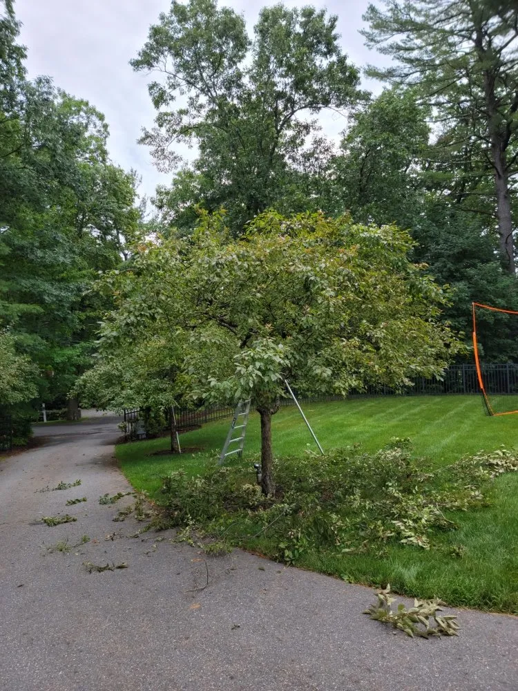 Reliable landscape design near you across Clinton, MA - Espinoza Landscaping