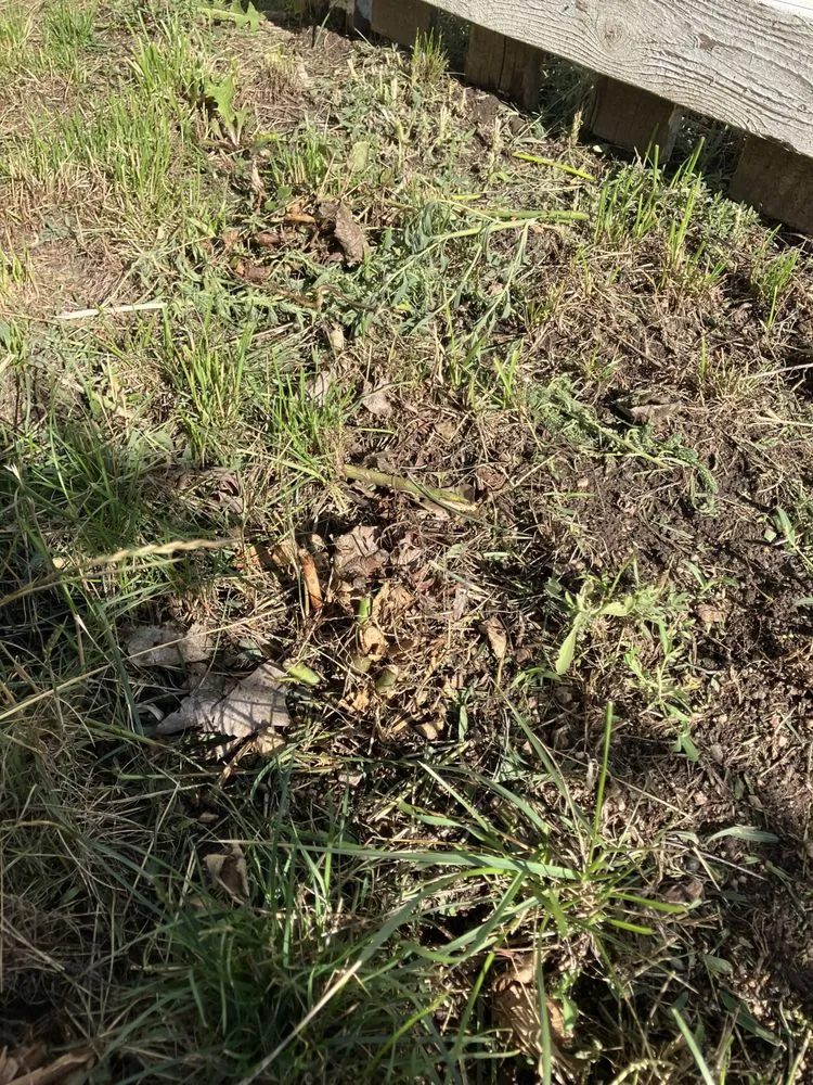 Expert landscaping services in Colorado Springs, CO - Espinoza Landscaping