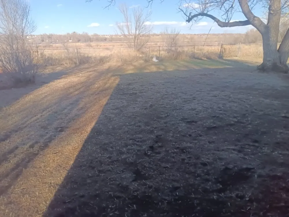 Custom residential landscaping for residential properties across Colorado Springs, CO - Espinoza Landscaping