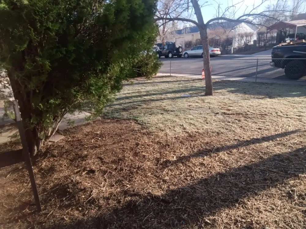 Local residential landscaping in Colorado Springs, CO by Espinoza Landscaping