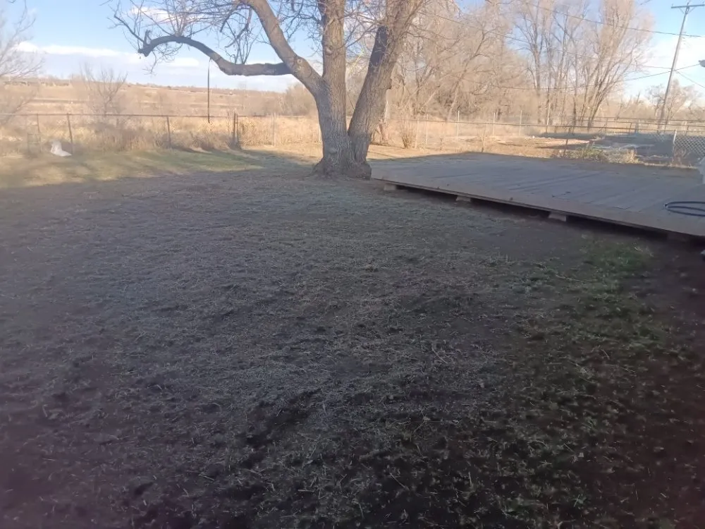 Custom yard maintenance in Colorado Springs, CO by Espinoza Landscaping