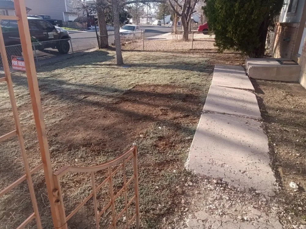 Affordable yard maintenance for residential properties across Colorado Springs, CO - Espinoza Landscaping