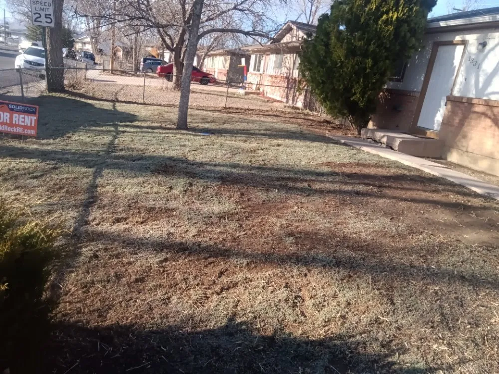 Expert residential landscaping for beautiful yards across Colorado Springs, CO - Espinoza Landscaping