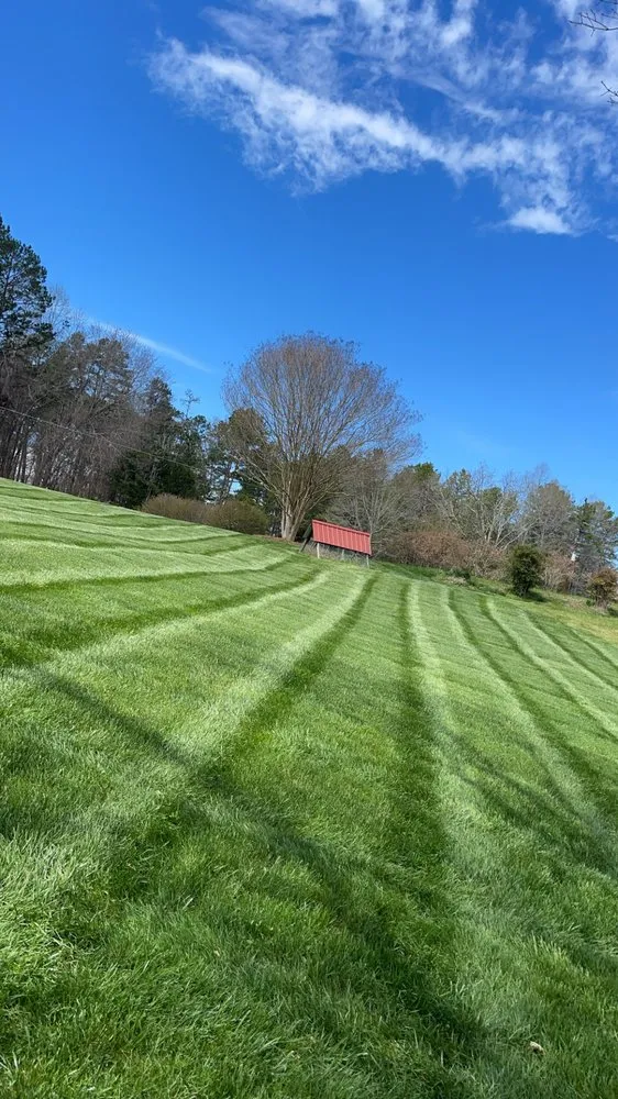 Custom yard cleanup service near you in Jefferson, SC by Espinoza Landscaping