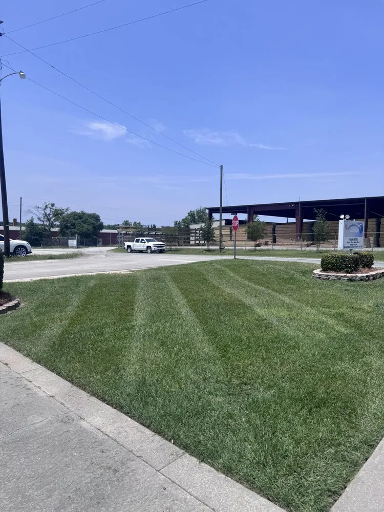 Trusted yard cleanup service experts serving Jefferson, SC - Espinoza Landscaping
