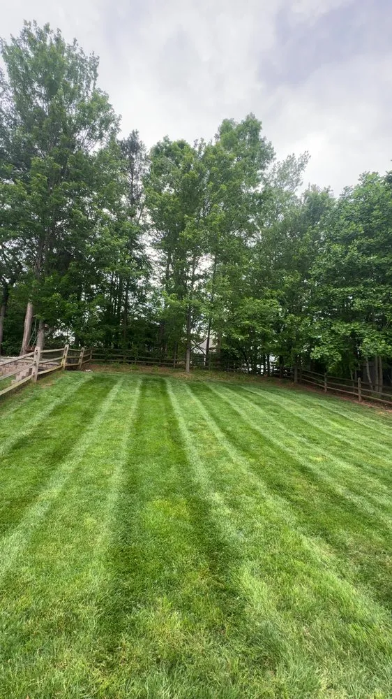 Reliable residential landscaping in Jefferson, SC by Espinoza Landscaping