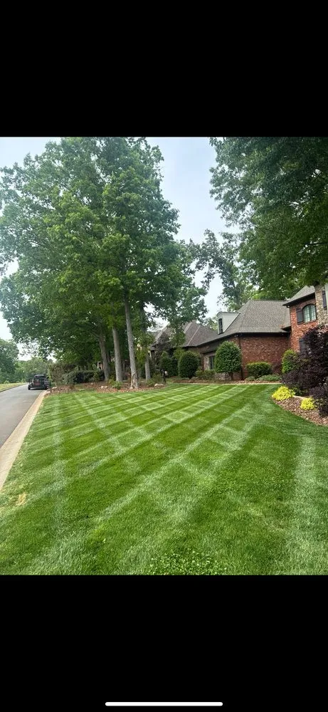 Local yard cleanup service in Jefferson, SC by Espinoza Landscaping
