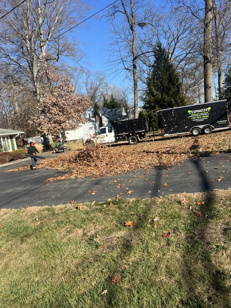 Affordable landscaping services for outdoor upgrades across New Brunswick, NJ - Espinoza Landscaping Lawn Services