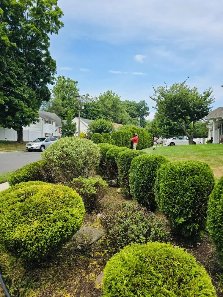Trusted landscaping services in New Brunswick, NJ by Espinoza Landscaping Lawn Services