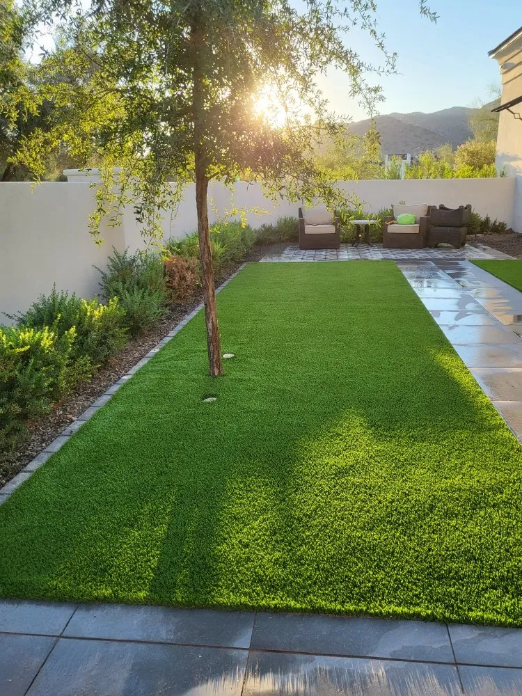 Local yard cleanup service for beautiful yards in Mesa, AZ by Espinoza landscaping