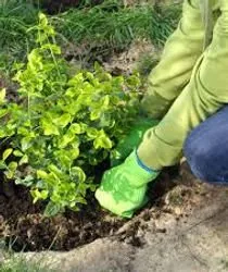 Custom residential landscaping in Morristown, NJ - Espinoza Landscaping