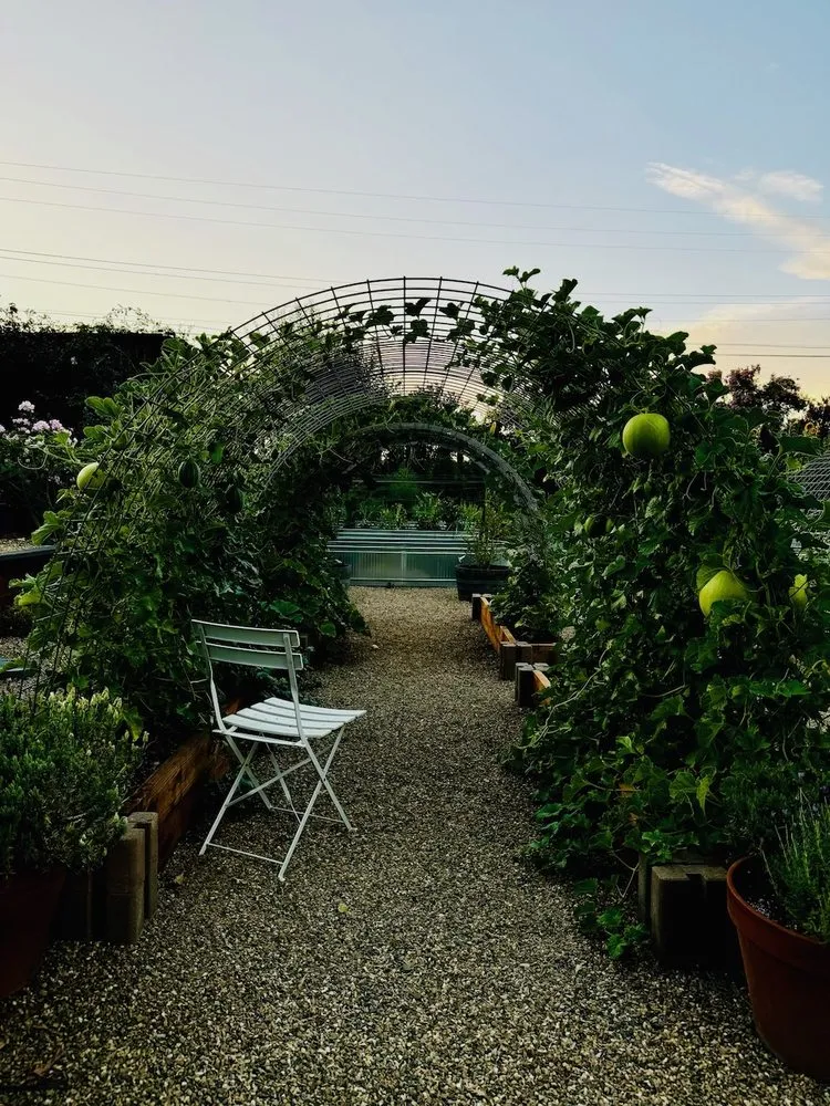 Expert yard maintenance in Napa, CA by Espinoza Landscaping