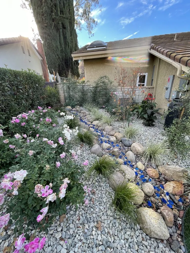 Expert yard cleanup service experts serving Oxnard, CA - Espinoza Landscaping