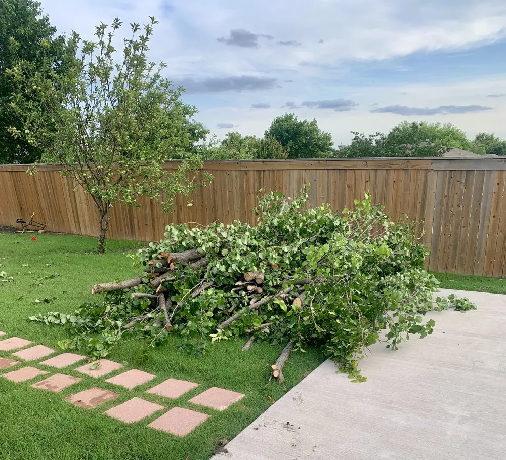 Affordable residential landscaping experts serving Nevada, TX - Espinoza Lawn Care