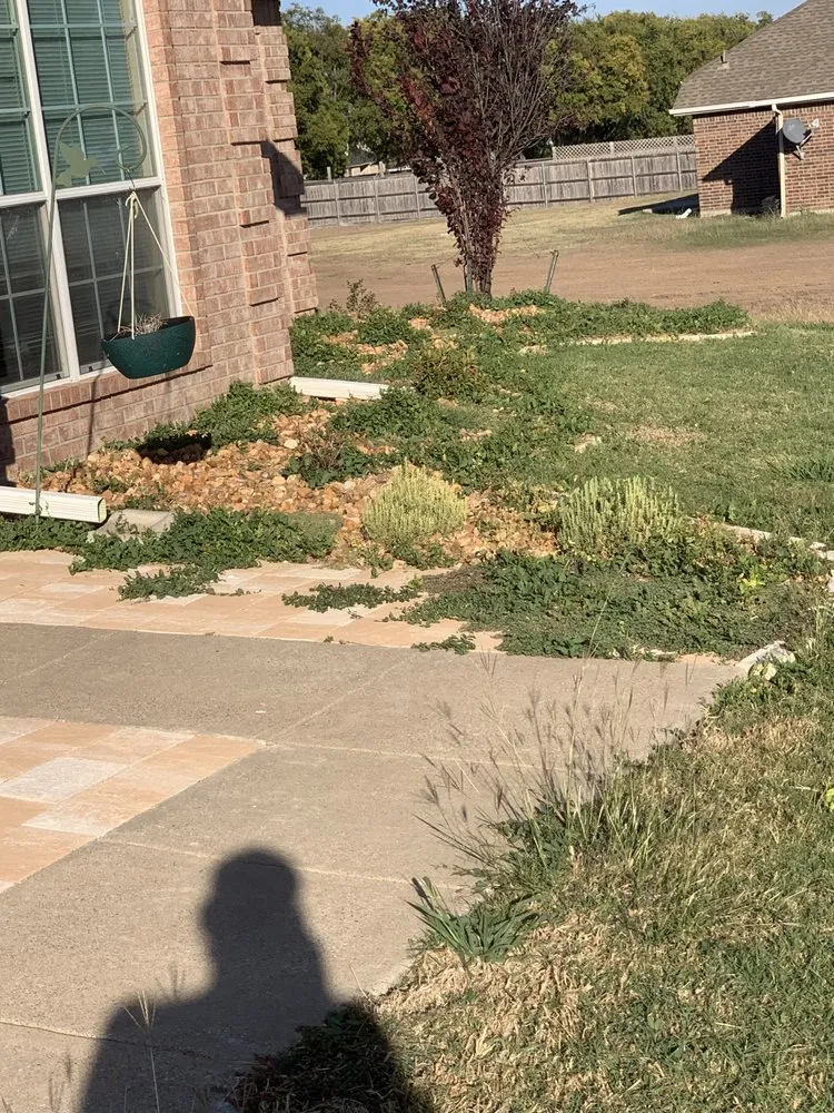 Custom lawn care service in Nevada, TX by Espinoza Lawn Care