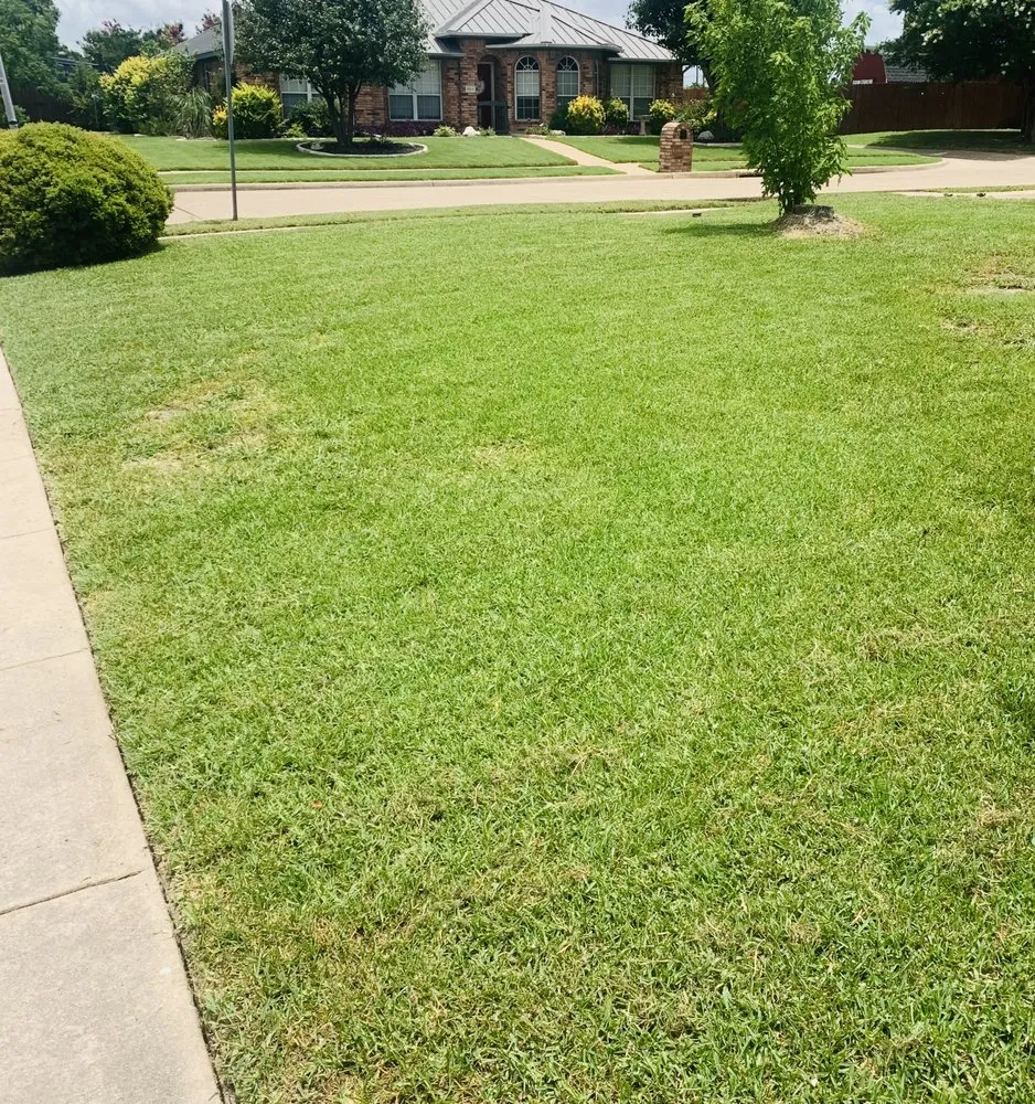 Trusted residential landscaping with custom design across Nevada, TX - Espinoza Lawn Care