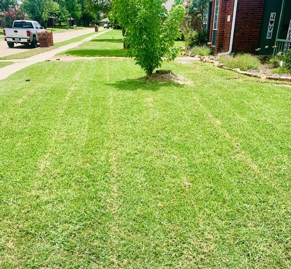 Top-rated yard maintenance in Nevada, TX - Espinoza Lawn Care