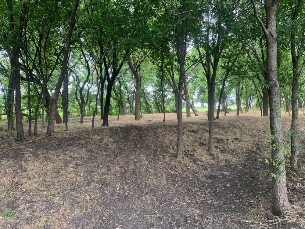 Affordable lawn mowing service for outdoor upgrades in Nevada, TX by Espinoza Lawn Care