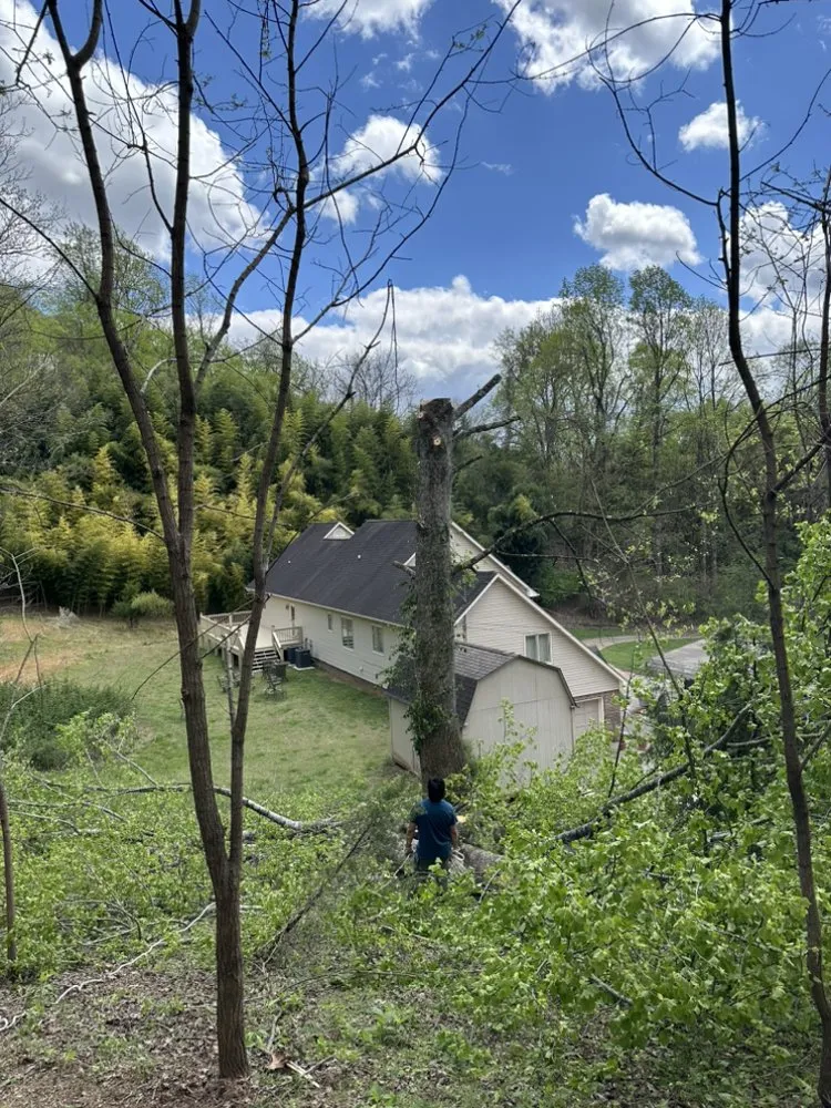 Reliable landscape installation for outdoor upgrades across Knoxville, TN - Espinoza painting & landscaping