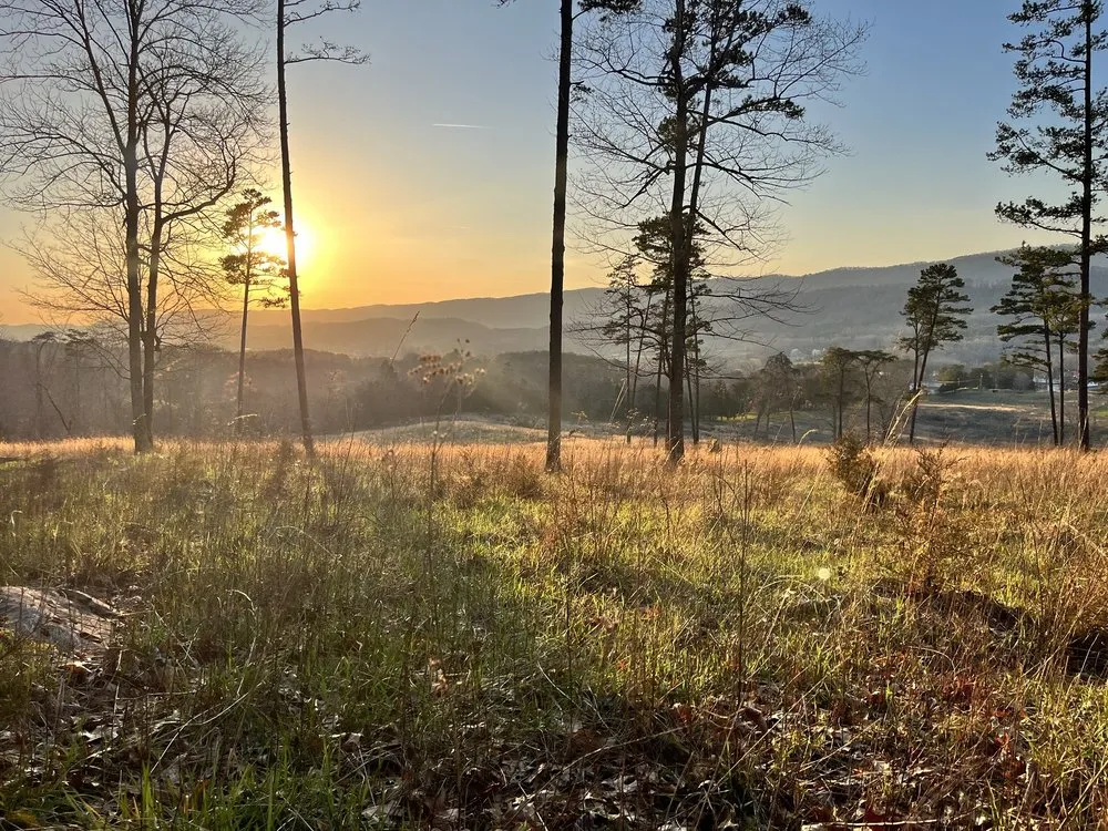 Reliable yard cleanup service for homes in Knoxville, TN by Espinoza painting & landscaping